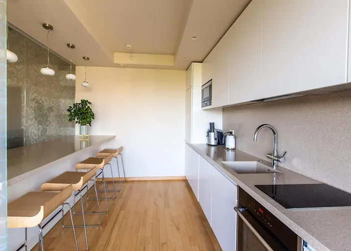 Apartament Druskininku Panorama Apartamentai *